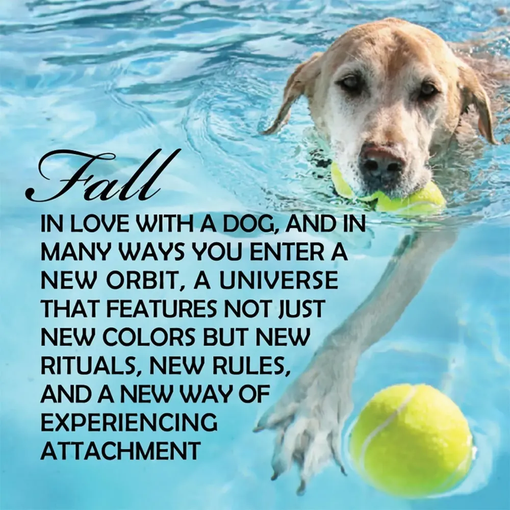 Pup Notes - 60 Notes of Dog Love & Joy